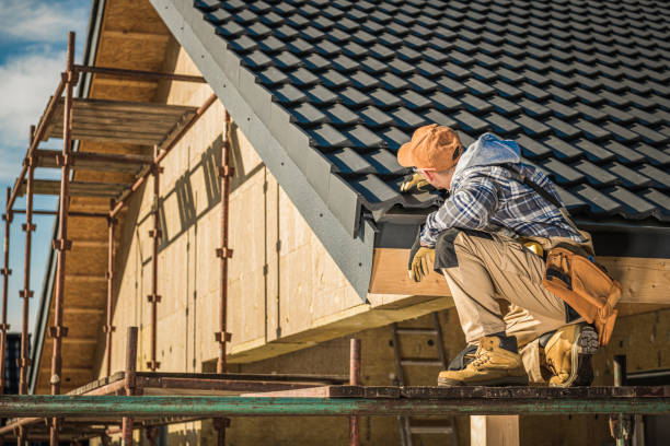 Best Skylight Installation and Repair  in Cresco, IA